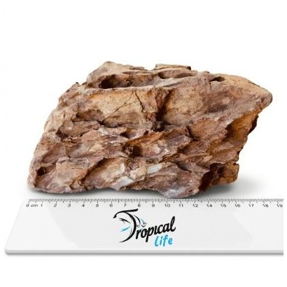 Roccia Dragon Stone Ohko per aquascaping professionale e decorazione acquario naturale in vendita su Tropical Life