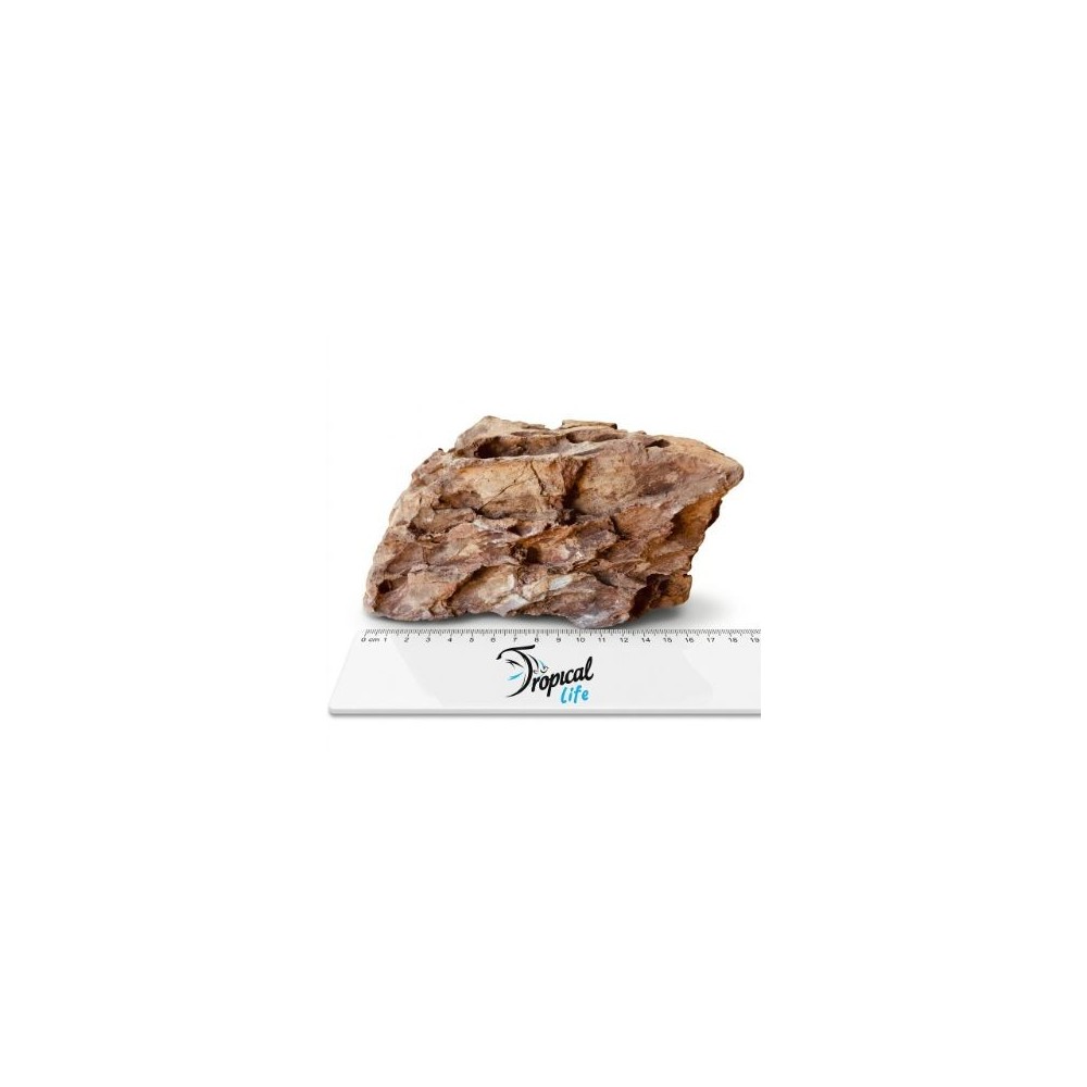 Roccia Dragon Stone Ohko per aquascaping professionale e decorazione acquario naturale in vendita su Tropical Life