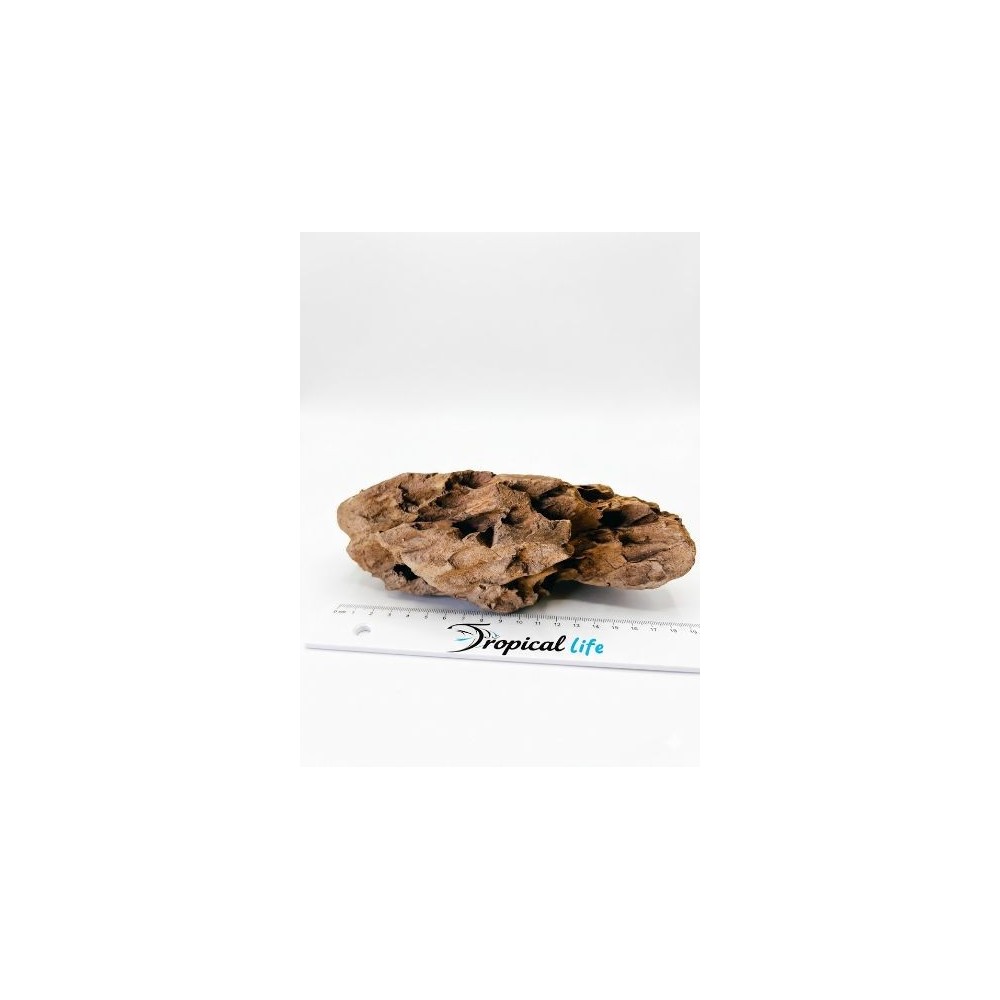 Roccia Dragon Stone Ohko per aquascaping professionale e decorazione acquario naturale in vendita su Tropical Life