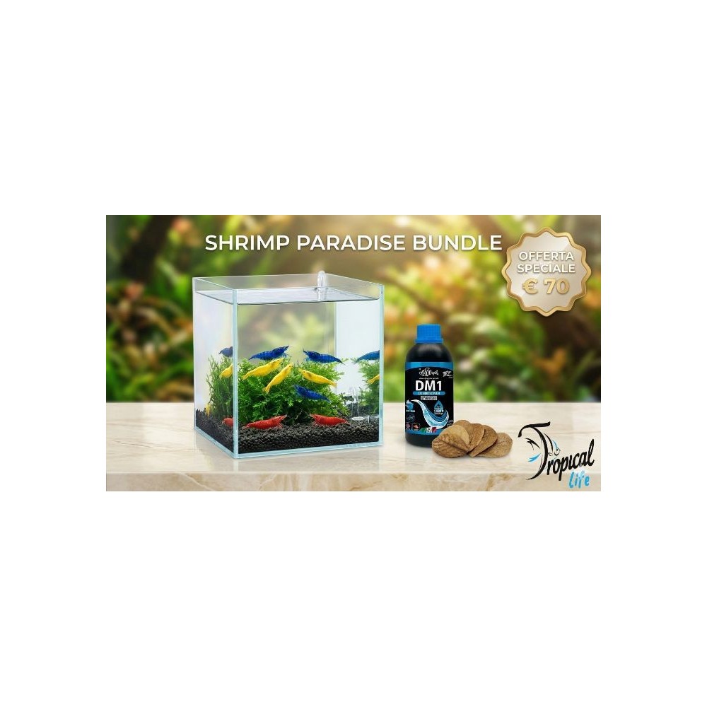 bundle-shrimp-paradise-neocaridine-e-foglie-di-catappa-tropical-life