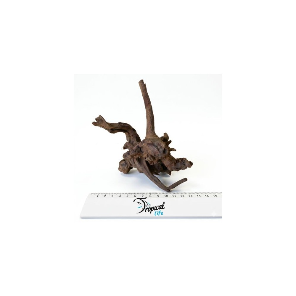 Legno Driftwood naturale pezzo unico con riferimento misura per acquario - Tropical Life