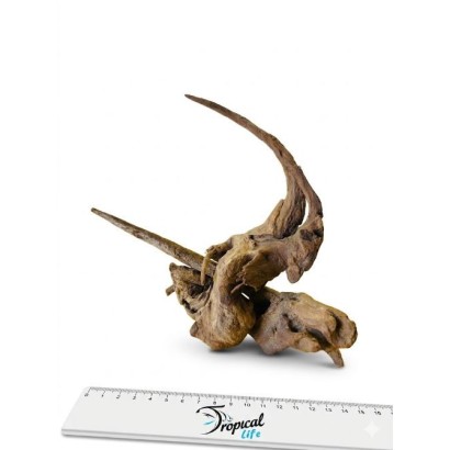 Legno Driftwood naturale pezzo unico con riferimento misura per acquario - Tropical Life