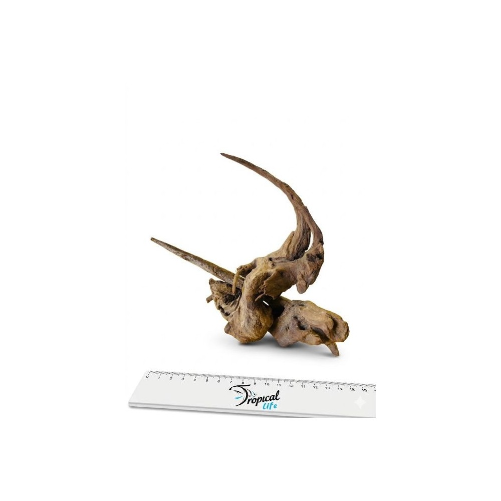 Legno Driftwood naturale pezzo unico con riferimento misura per acquario - Tropical Life
