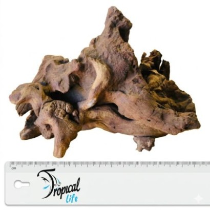 Legno Driftwood Naturale in vendita su Tropical Life