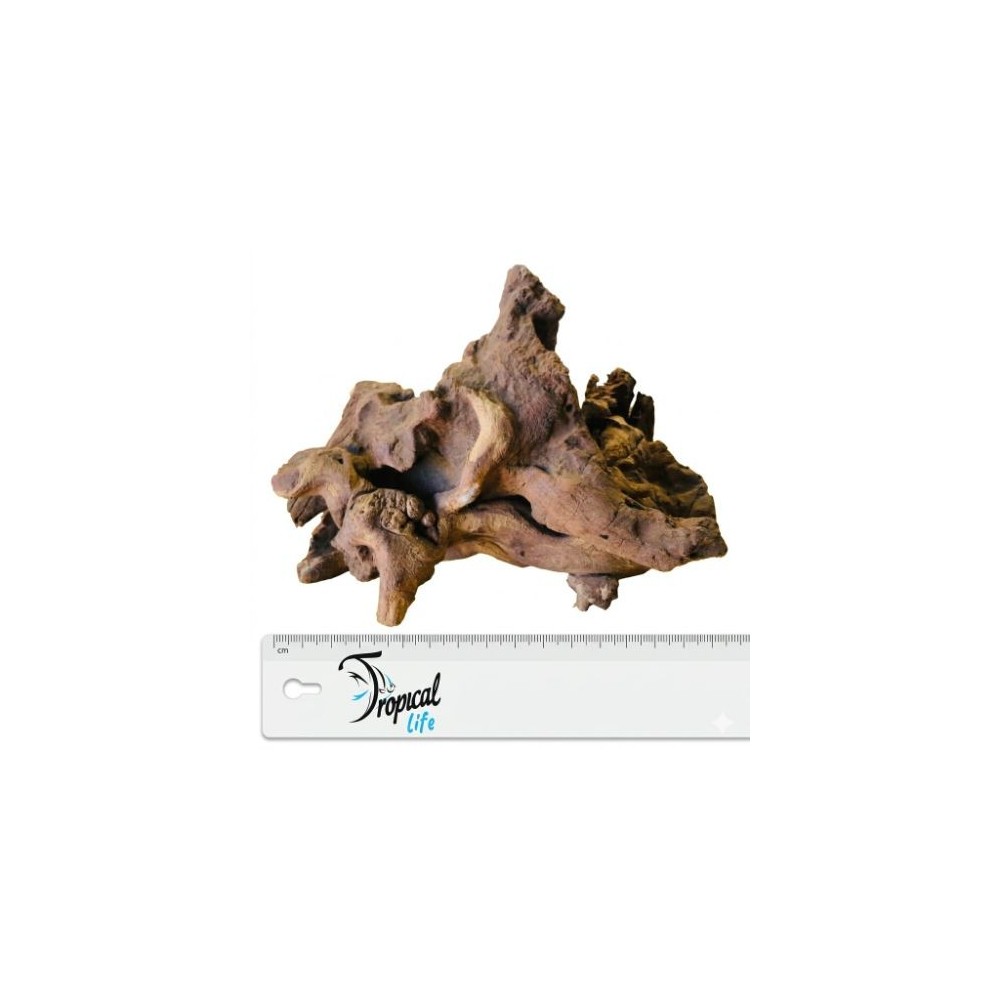 Legno Driftwood Naturale in vendita su Tropical Life