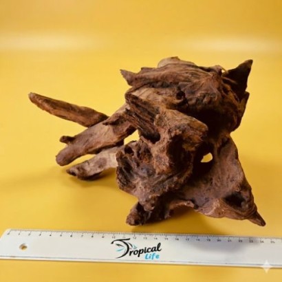 Legno Driftwood Naturale in vendita su Tropical Life