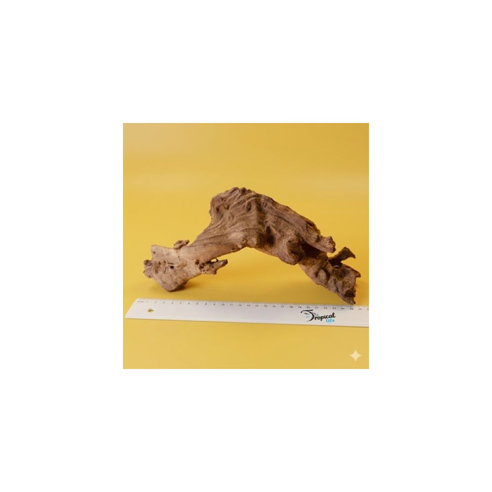 Legno Driftwood Naturale in vendita su Tropical Life