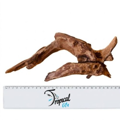 Legno Driftwood Naturale in vendita su Tropical Life