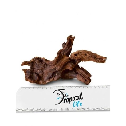 Legno Driftwood Naturale in vendita su Tropical Life