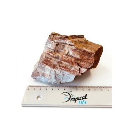 roccia stratificata rossa naturale per decorazione acquario aquascaping in vendita su Tropical Life