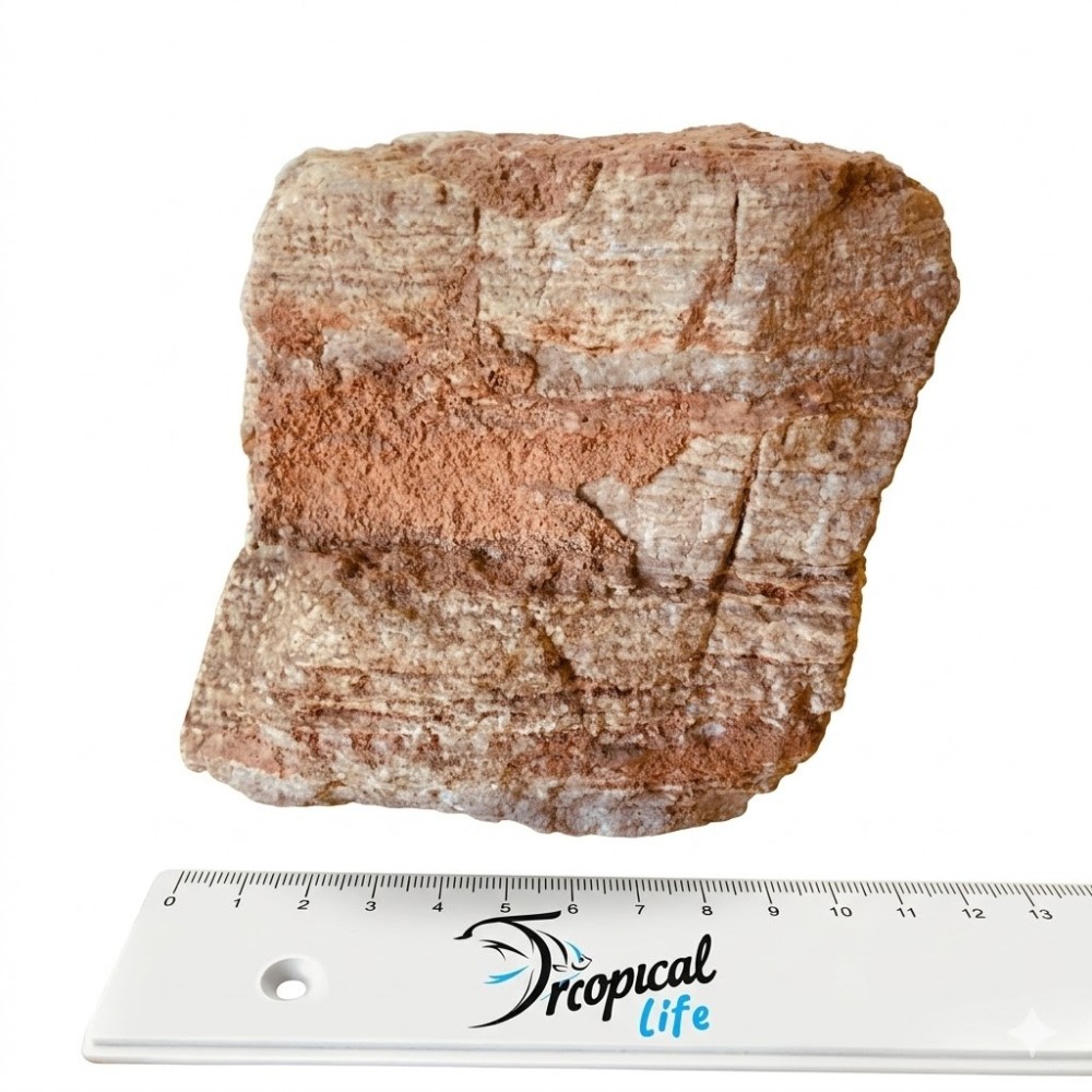 roccia stratificata rossa naturale per decorazione acquario aquascaping in vendita su Tropical Life
