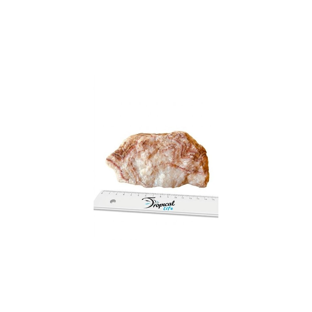 Pietra Pink Cloud in quarzo bianco e rosa per decorazione acquario di design in vendita su Tropical Life